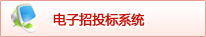 电子招投标系统